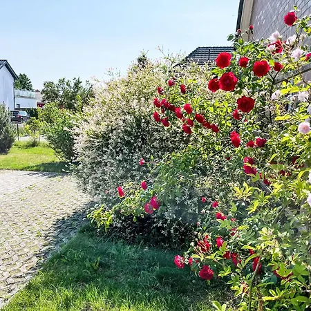 Nyaraló Marei By Interhome *